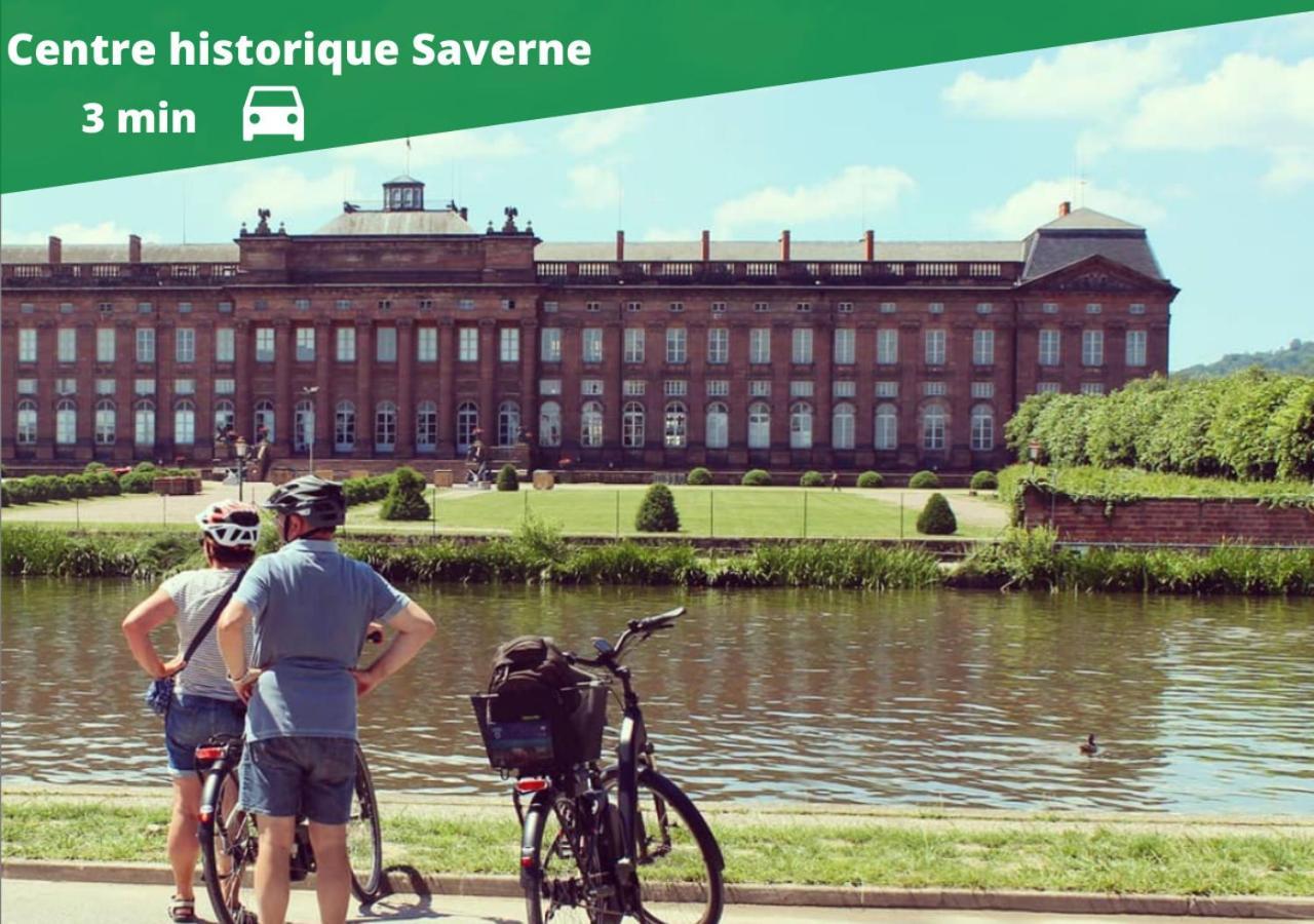 Auguste, La Romaine Et My Cesar - Location Saverne Eksteriør bilde